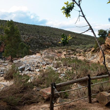 Desert Wind Private Guest And Game Farm Montagu Bagian luar foto